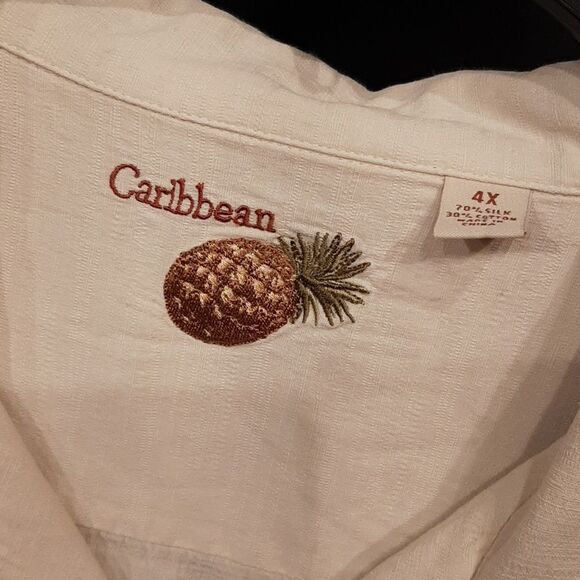 Caribbean Silk Cotton Beige Button-Down Shirt - Picture 2 of 11
